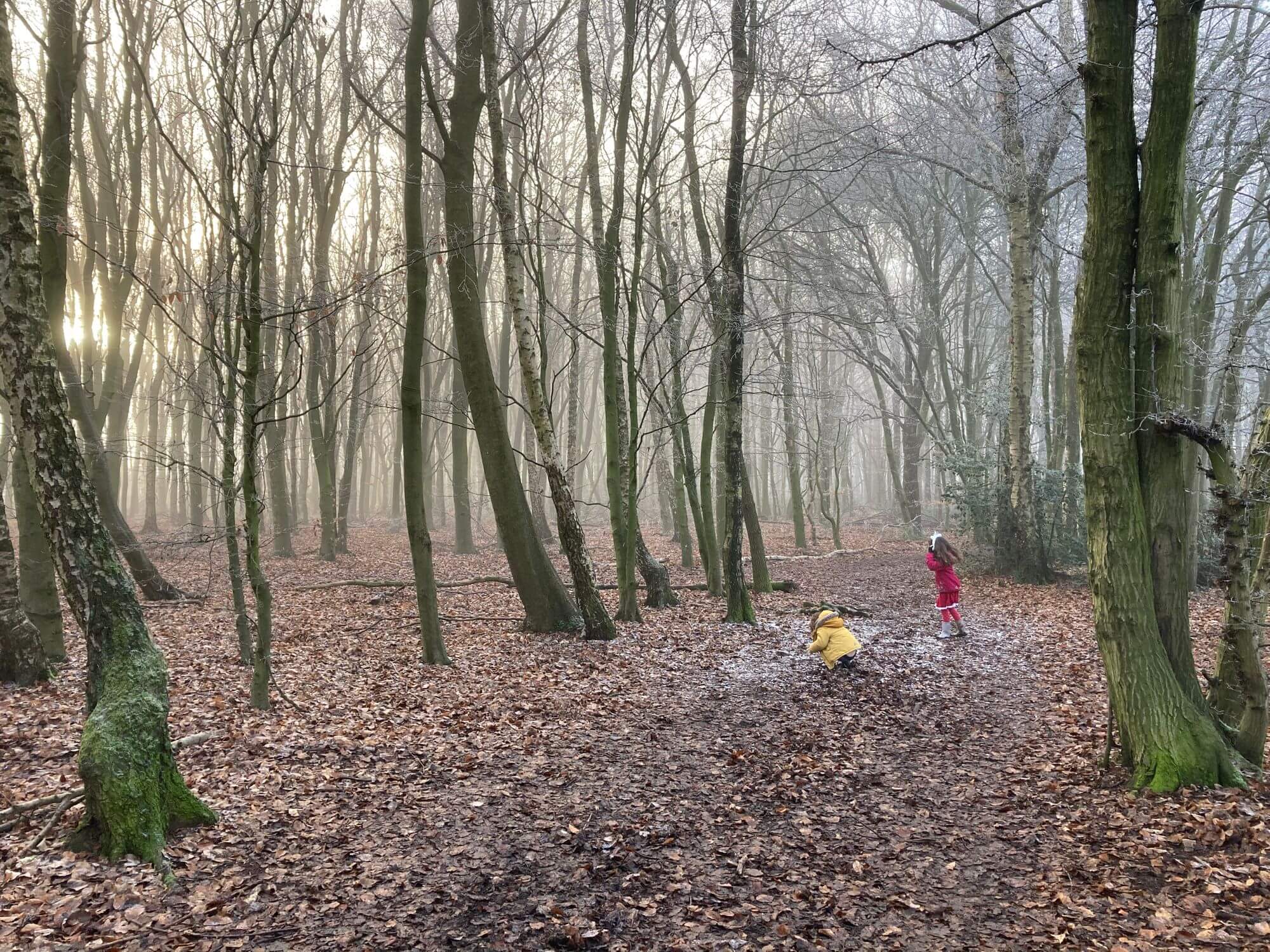 Photo of the children playing in the woods