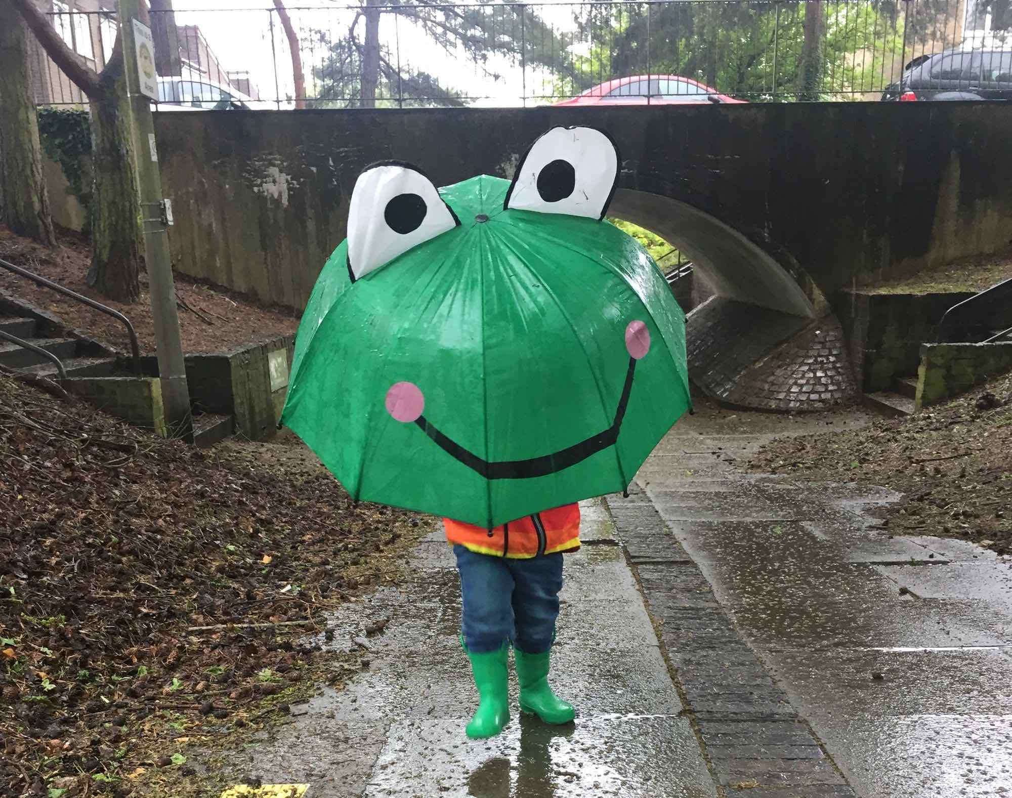 Photo of Puds holding a frog umbrella in the rain