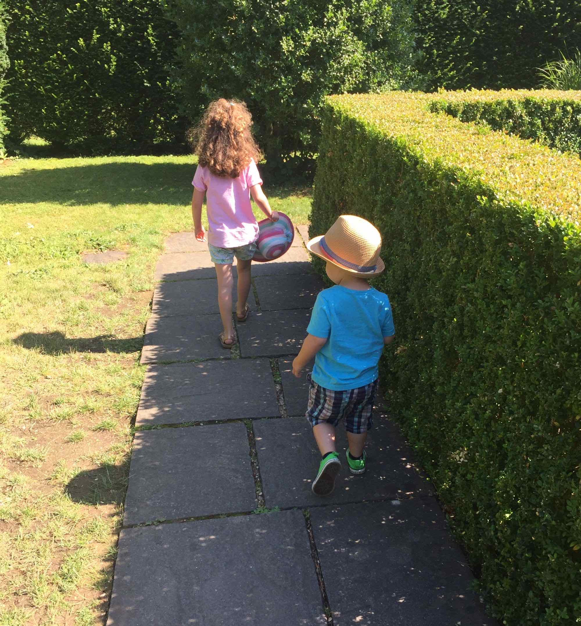 Photo of pickles and puds walking through a hedge maze