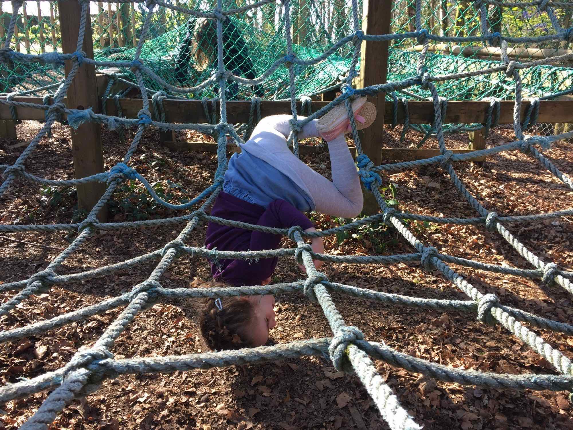 Photo of pickles climbing on a rope net, she has fallen through head-first and is hanging upside down