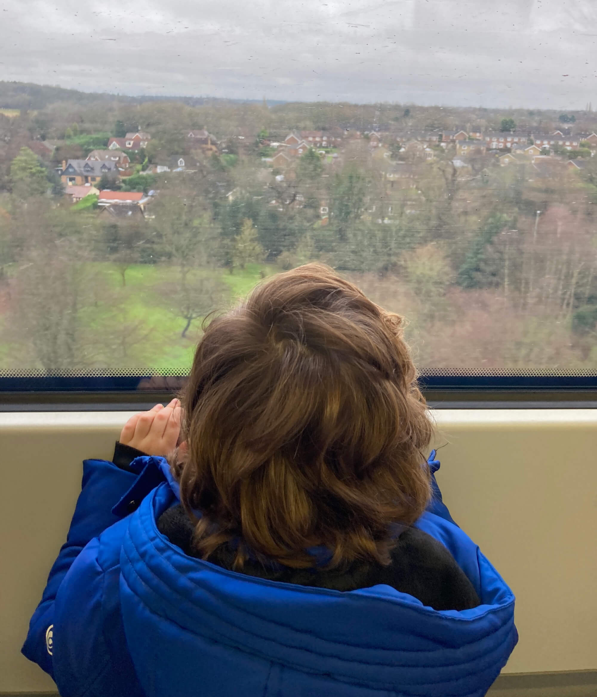 Photo of Puds peeking out of a train window