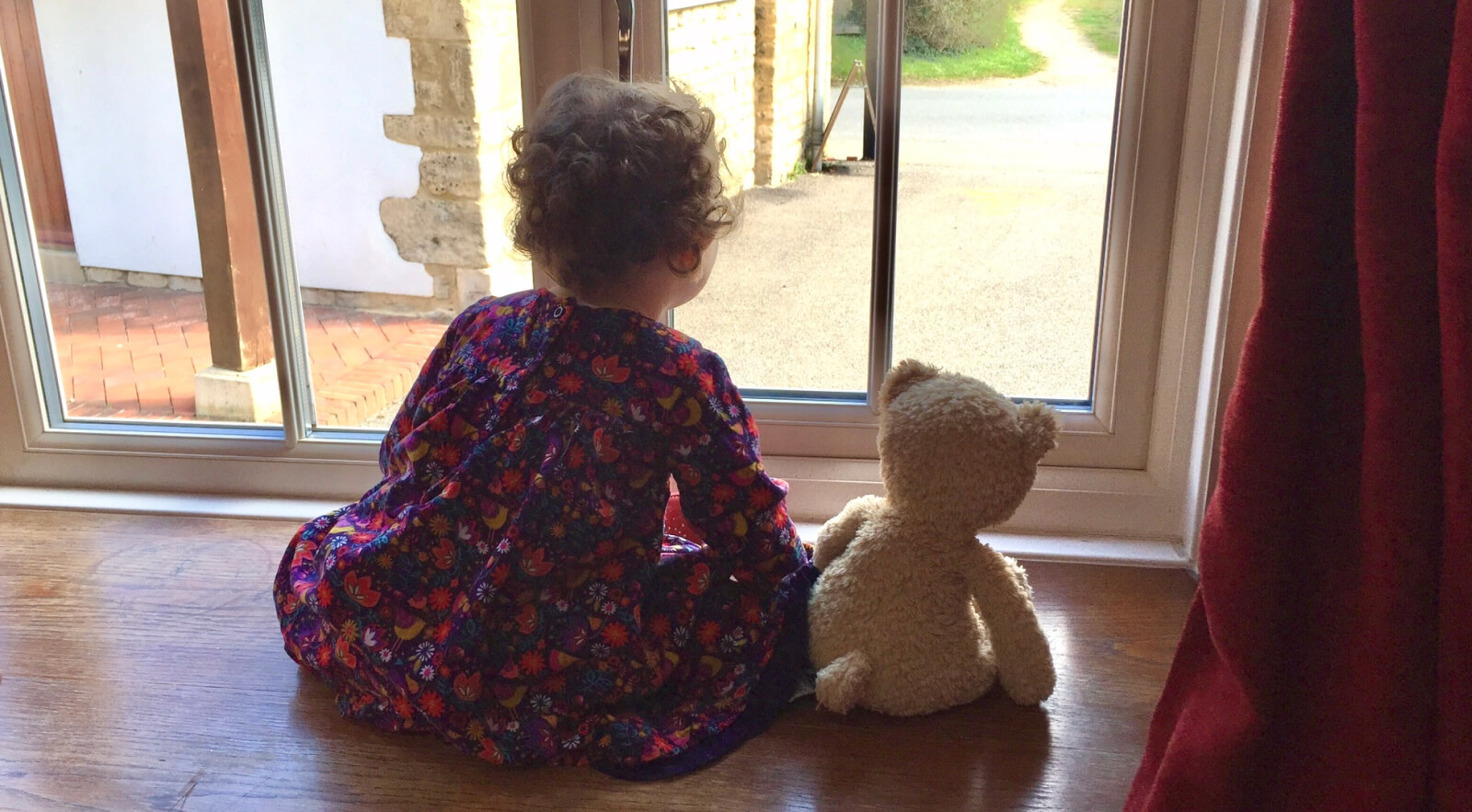 Photo of pickles and bumble bear sitting in a window